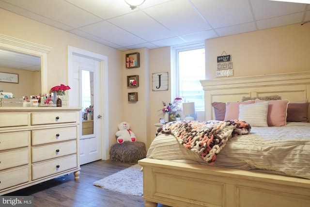 bedroom with a drop ceiling and dark hardwood / wood-style floors