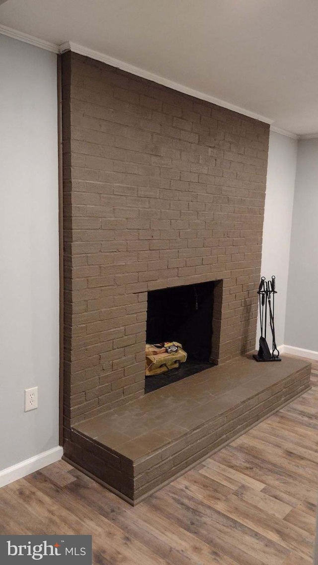 room details featuring crown molding, wood-type flooring, and a fireplace