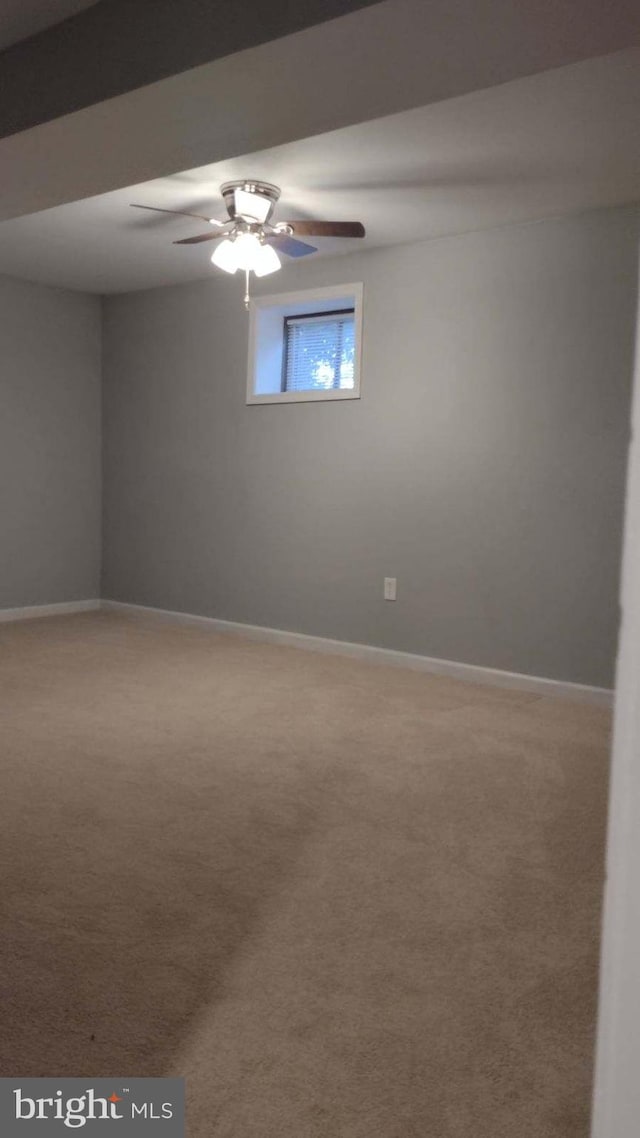 empty room with carpet floors