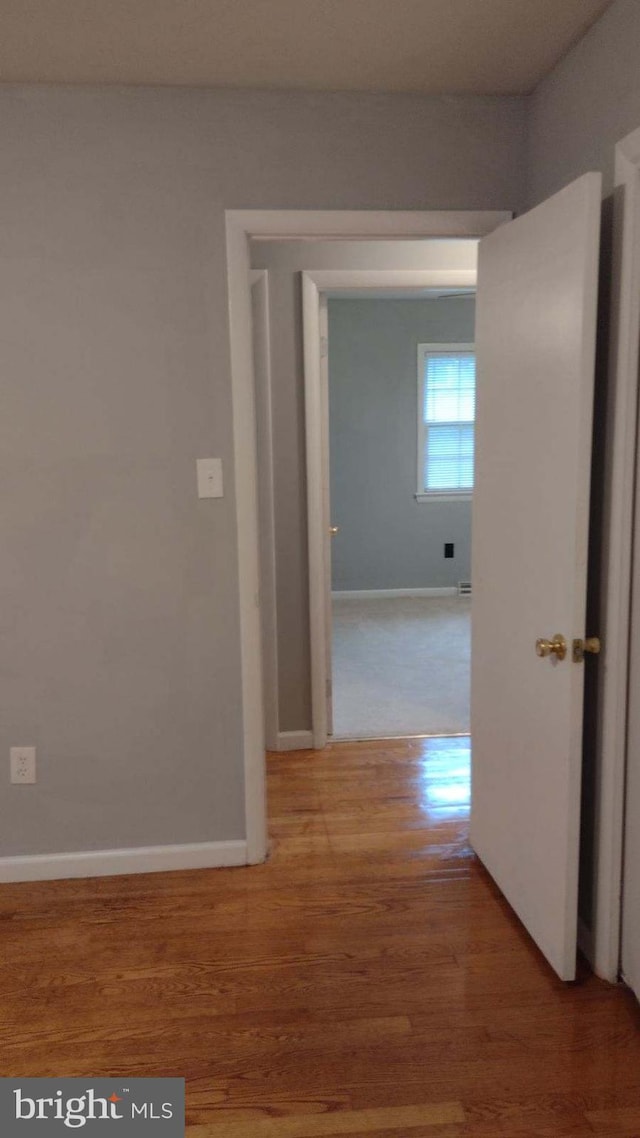 hall featuring wood-type flooring