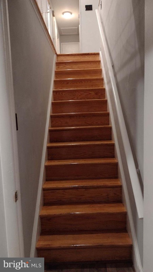 stairs featuring hardwood / wood-style flooring