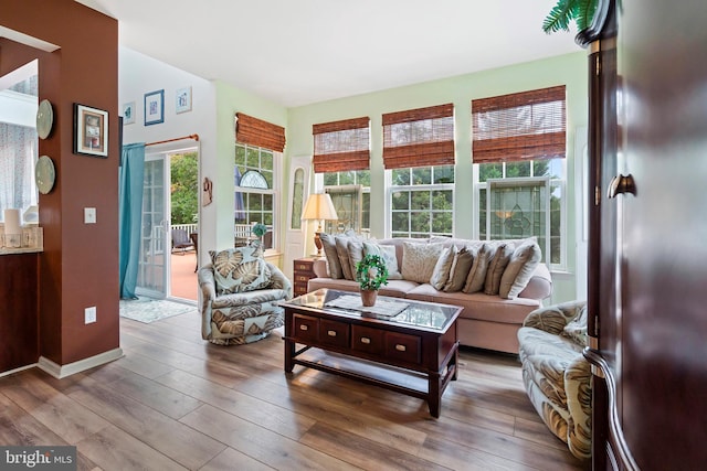 living room with wood-type flooring