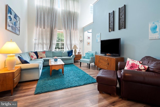 living room with a towering ceiling and hardwood / wood-style flooring