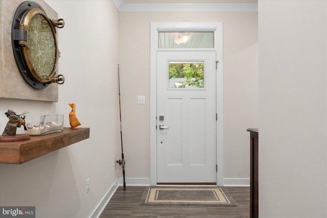 foyer entrance with dark wood-type flooring