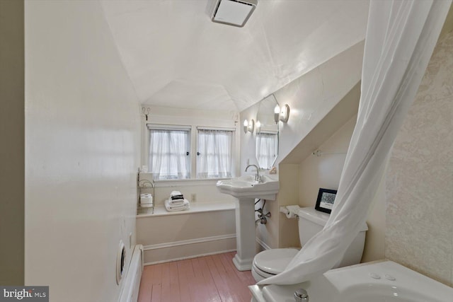 bathroom featuring sink, wood-type flooring, and toilet