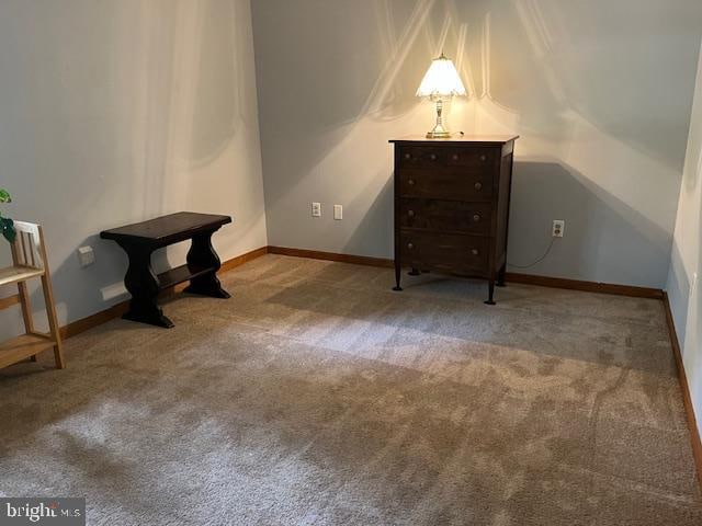 interior space featuring carpet floors