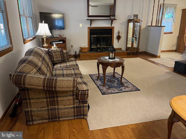 living room featuring hardwood / wood-style floors