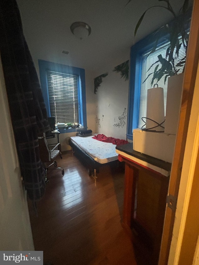 bathroom featuring hardwood / wood-style floors