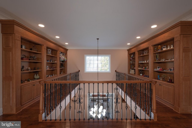 wine area featuring crown molding and dark wood-type flooring