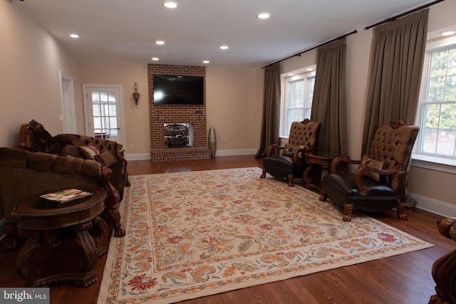 living room with a fireplace and hardwood / wood-style flooring