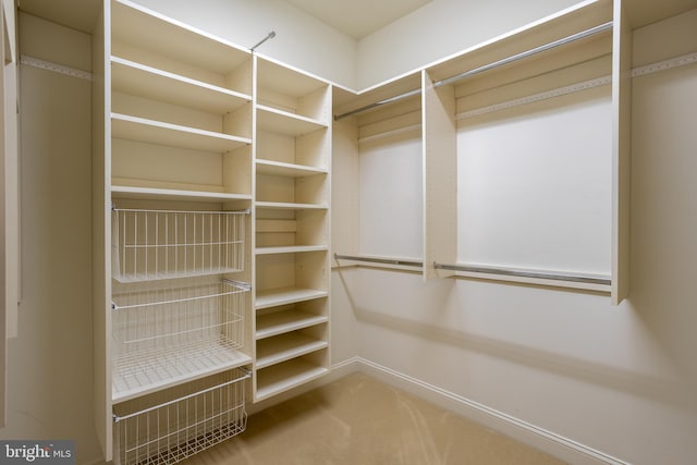 spacious closet with carpet floors