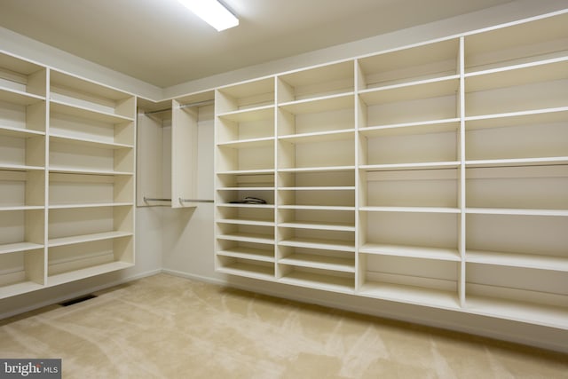 walk in closet featuring carpet