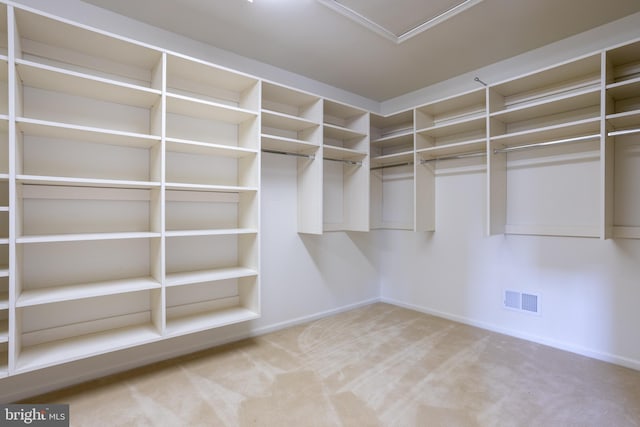 spacious closet with carpet flooring