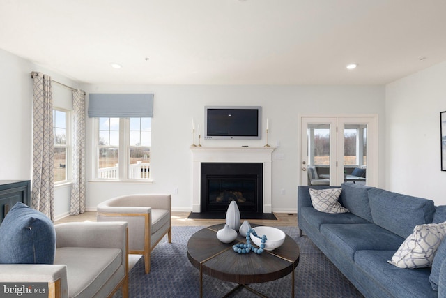 living room featuring hardwood / wood-style floors and a wealth of natural light