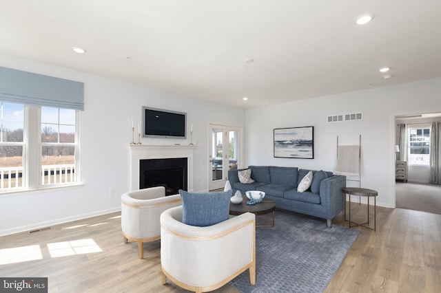 living room with light wood-type flooring and a wealth of natural light