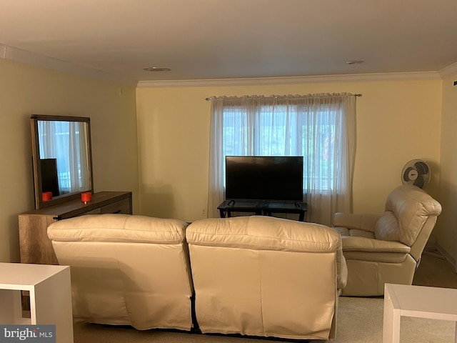 carpeted living room with crown molding