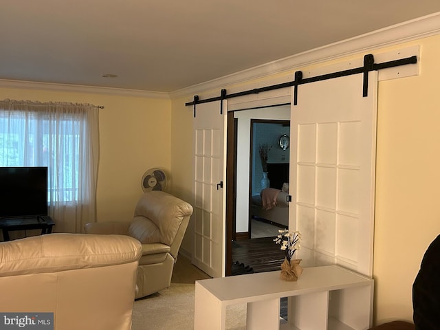 carpeted living room with ornamental molding and a barn door