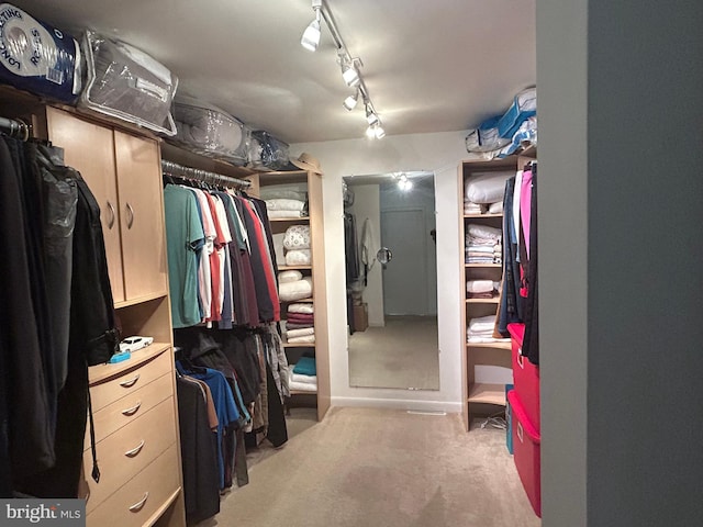 spacious closet with light colored carpet