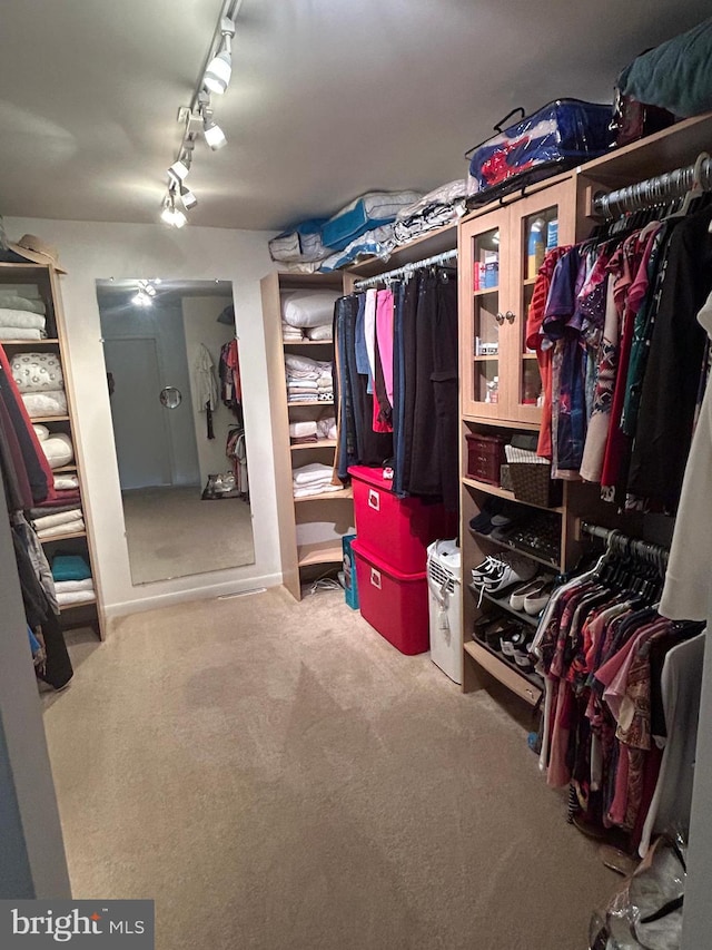 spacious closet featuring carpet