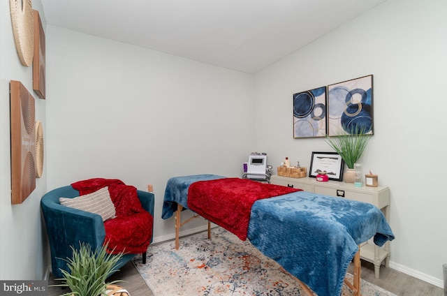 bedroom with wood-type flooring