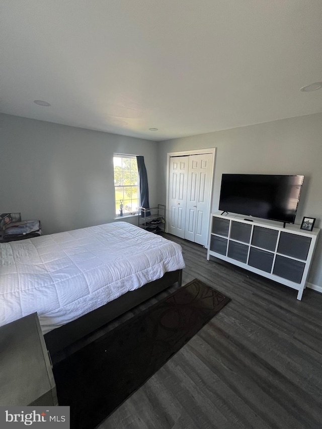 bedroom featuring a closet and dark wood-type flooring