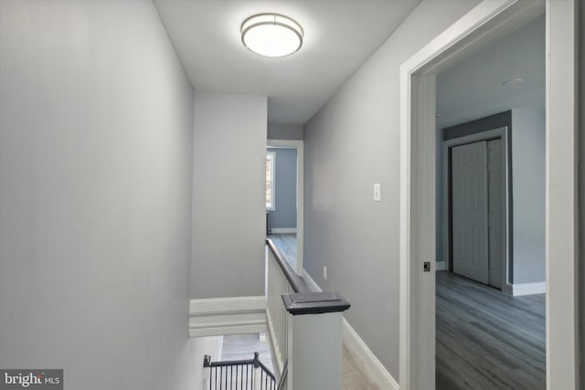 hall featuring hardwood / wood-style floors