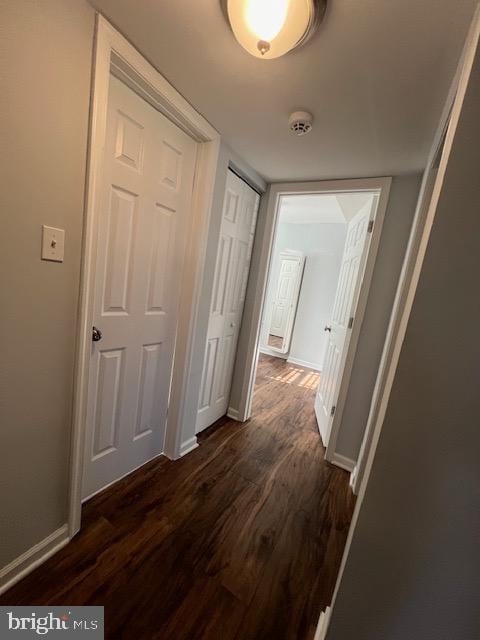 hall featuring dark wood-type flooring