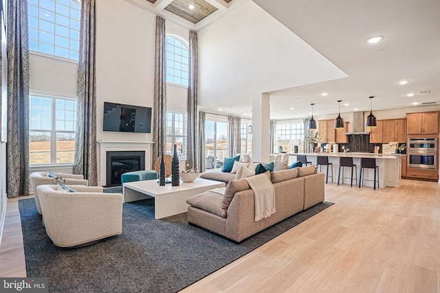 living room with a towering ceiling, light hardwood / wood-style flooring, and plenty of natural light