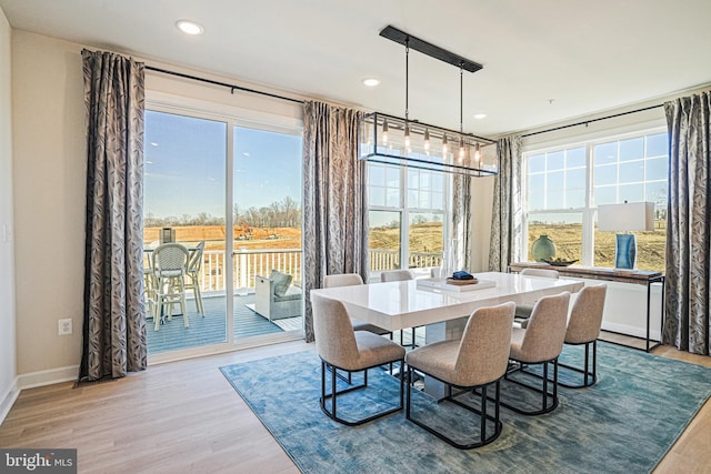 dining room with light hardwood / wood-style floors