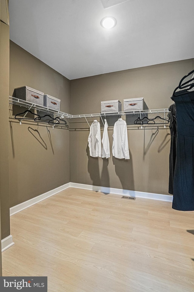 spacious closet featuring light wood-type flooring