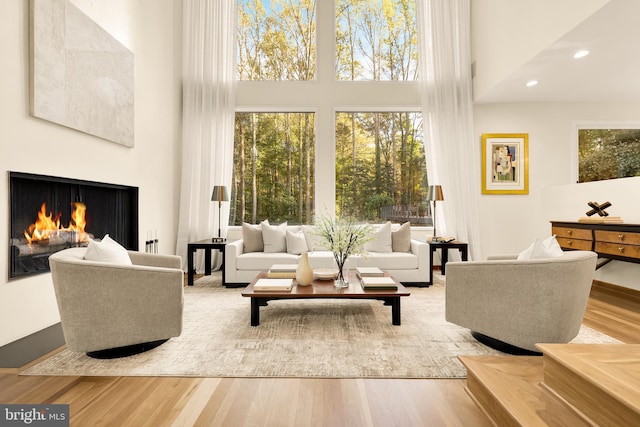 living room featuring hardwood / wood-style floors and a wealth of natural light