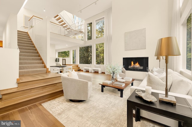 living room featuring a skylight, hardwood / wood-style floors, and a high ceiling