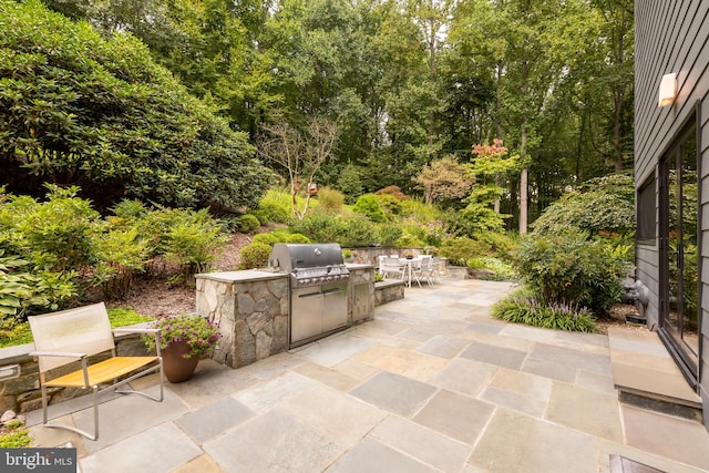 view of patio / terrace with grilling area and an outdoor kitchen