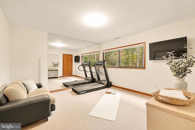 exercise area featuring carpet floors