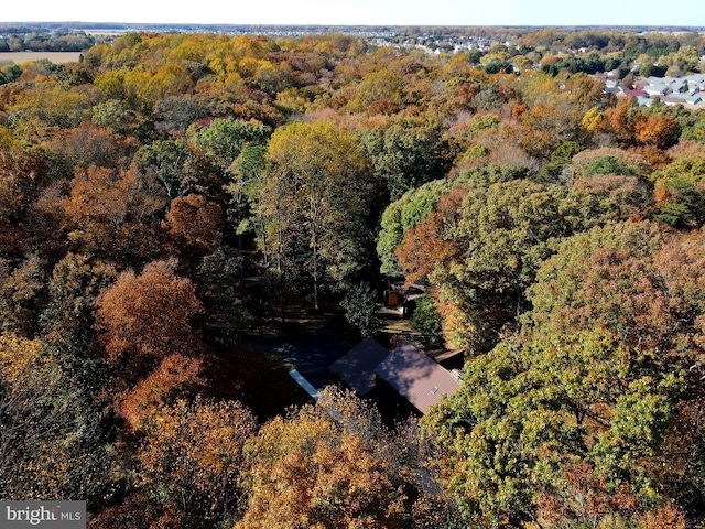 bird's eye view