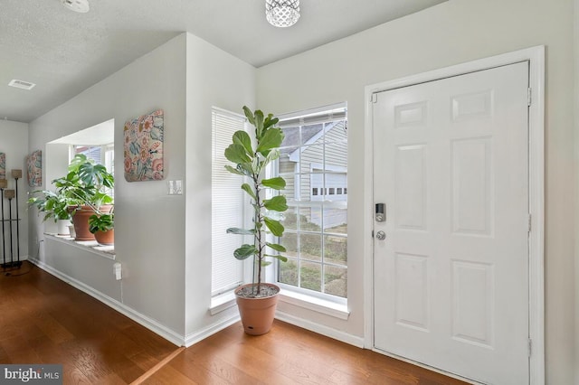 entryway featuring a textured ceiling, hardwood / wood-style floors, and a healthy amount of sunlight