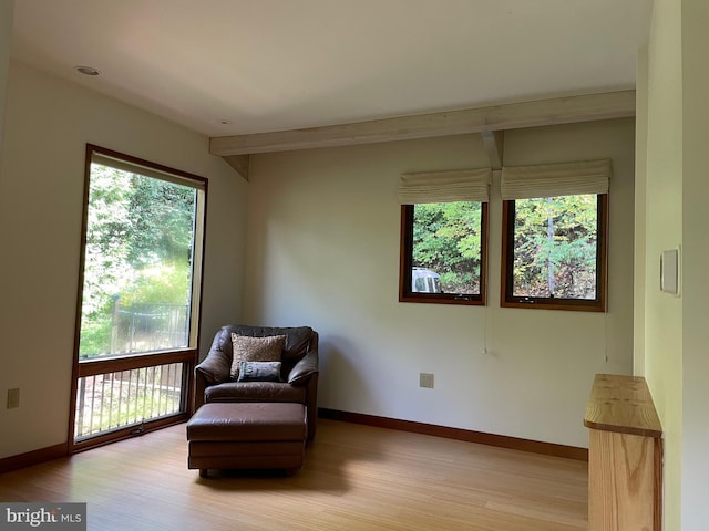 living area featuring light wood-type flooring