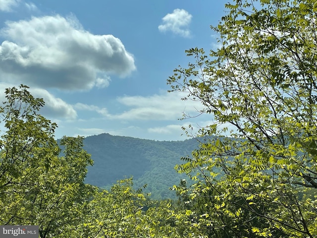 property view of mountains