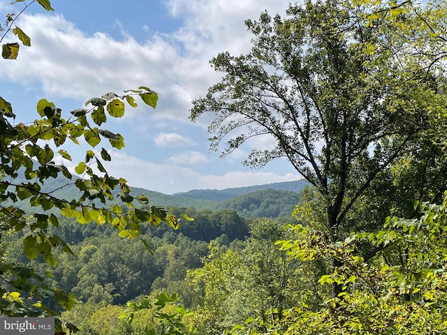 view of mountain feature