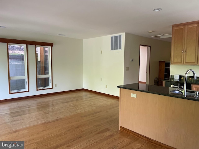 kitchen with light hardwood / wood-style flooring, kitchen peninsula, and sink