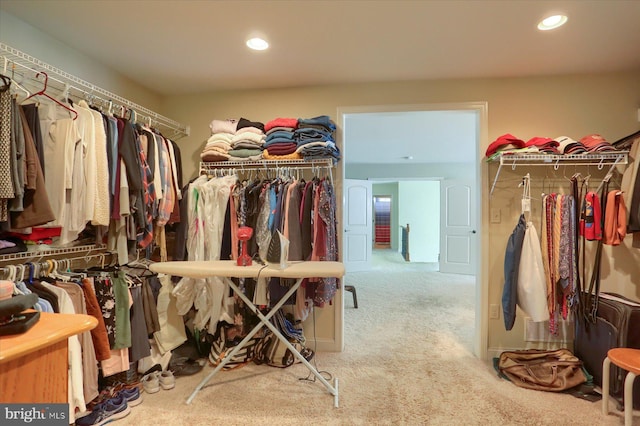 spacious closet featuring carpet