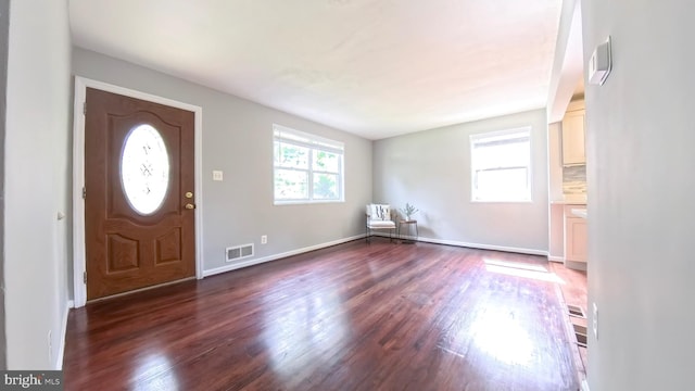 foyer entrance with dark wood-type flooring