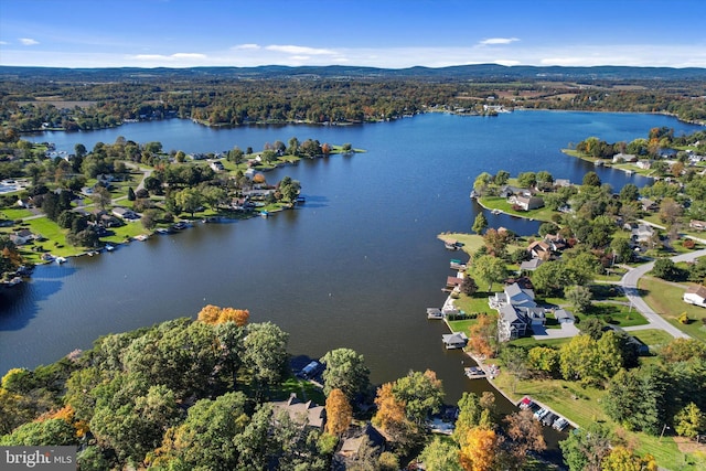 drone / aerial view with a wooded view and a water and mountain view