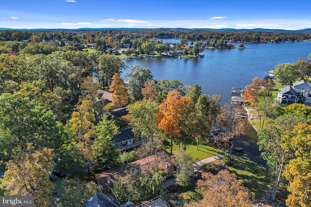 bird's eye view featuring a wooded view and a water view