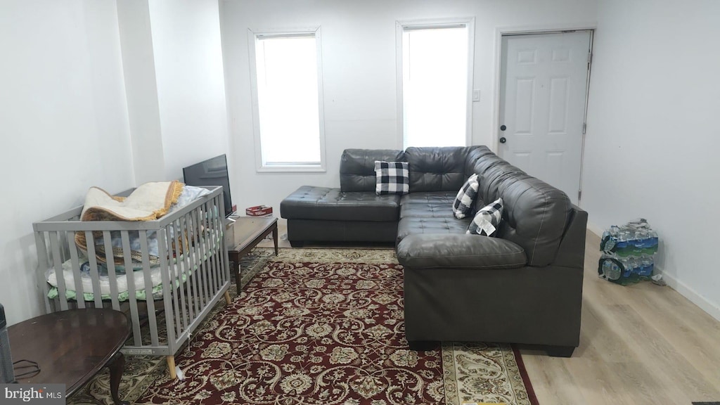 living room featuring light wood-type flooring