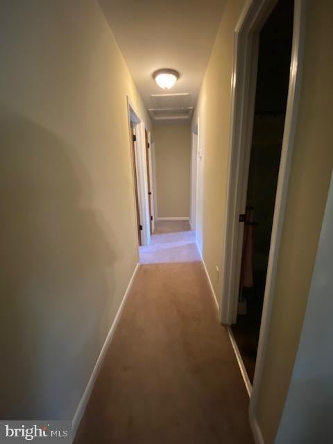 hallway with carpet