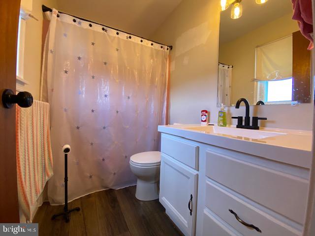 bathroom with vanity, wood-type flooring, and toilet