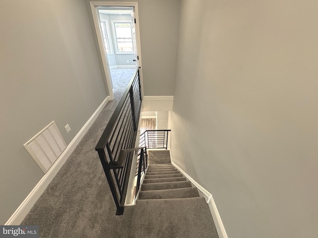 staircase with carpet