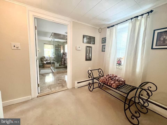 living area with light carpet, a wealth of natural light, and ornamental molding