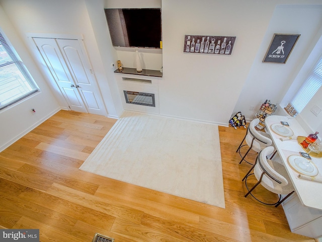 living room featuring light hardwood / wood-style flooring